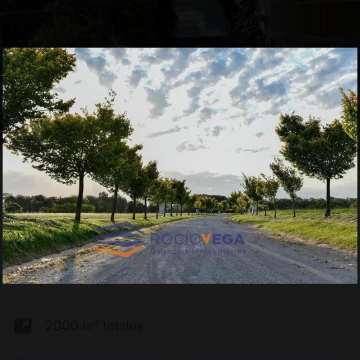 1734614648.jpg