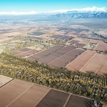 Terreno en venta en Vistalba
