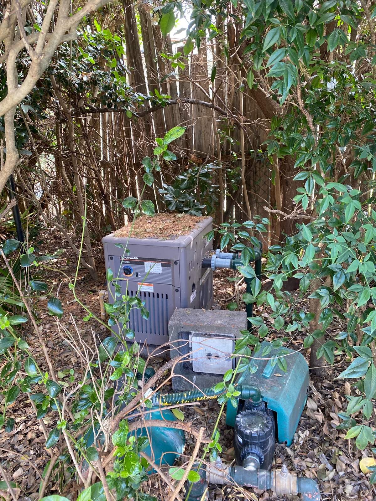 image 17
