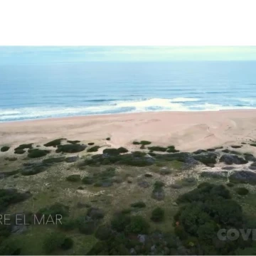 Campo en  Rocha 