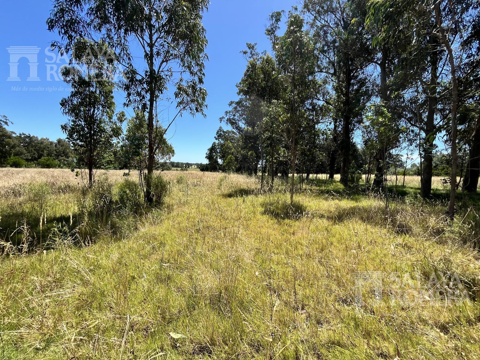 image 30