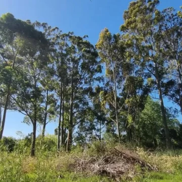 Terreno  de más de 2000 metros en  Golf Punta del Este