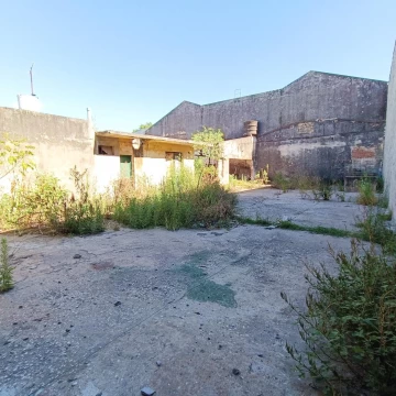 1736971966.jpg
