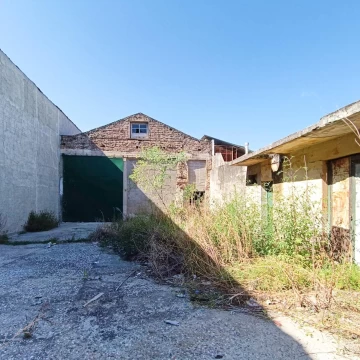 1736971966.jpg