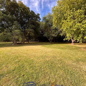1737030280.jpg
