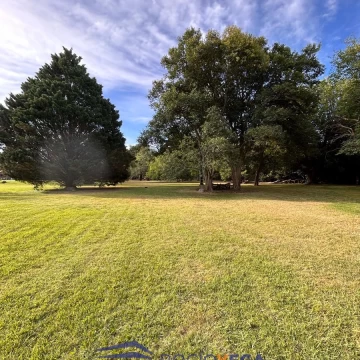 1737030280.jpg