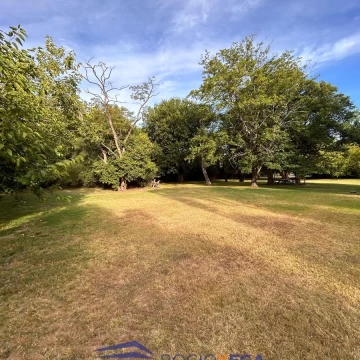 1737030283.jpg
