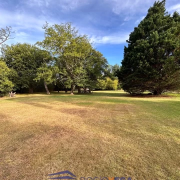 1737030284.jpg