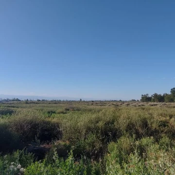 Venta en terreno en San Martin