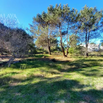 Venta Terreno - Laguna escondida - Jose Ignacio- REF:3831909