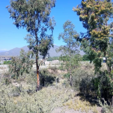 Terreno en Venta en  Blanco Encalada