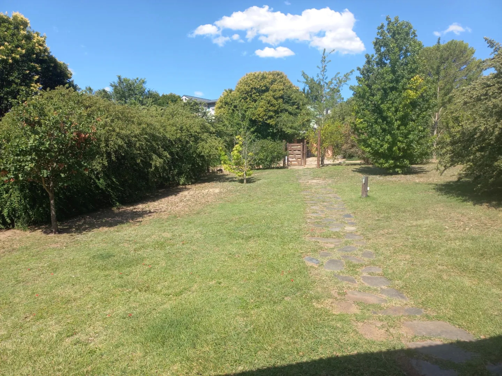 image 32
