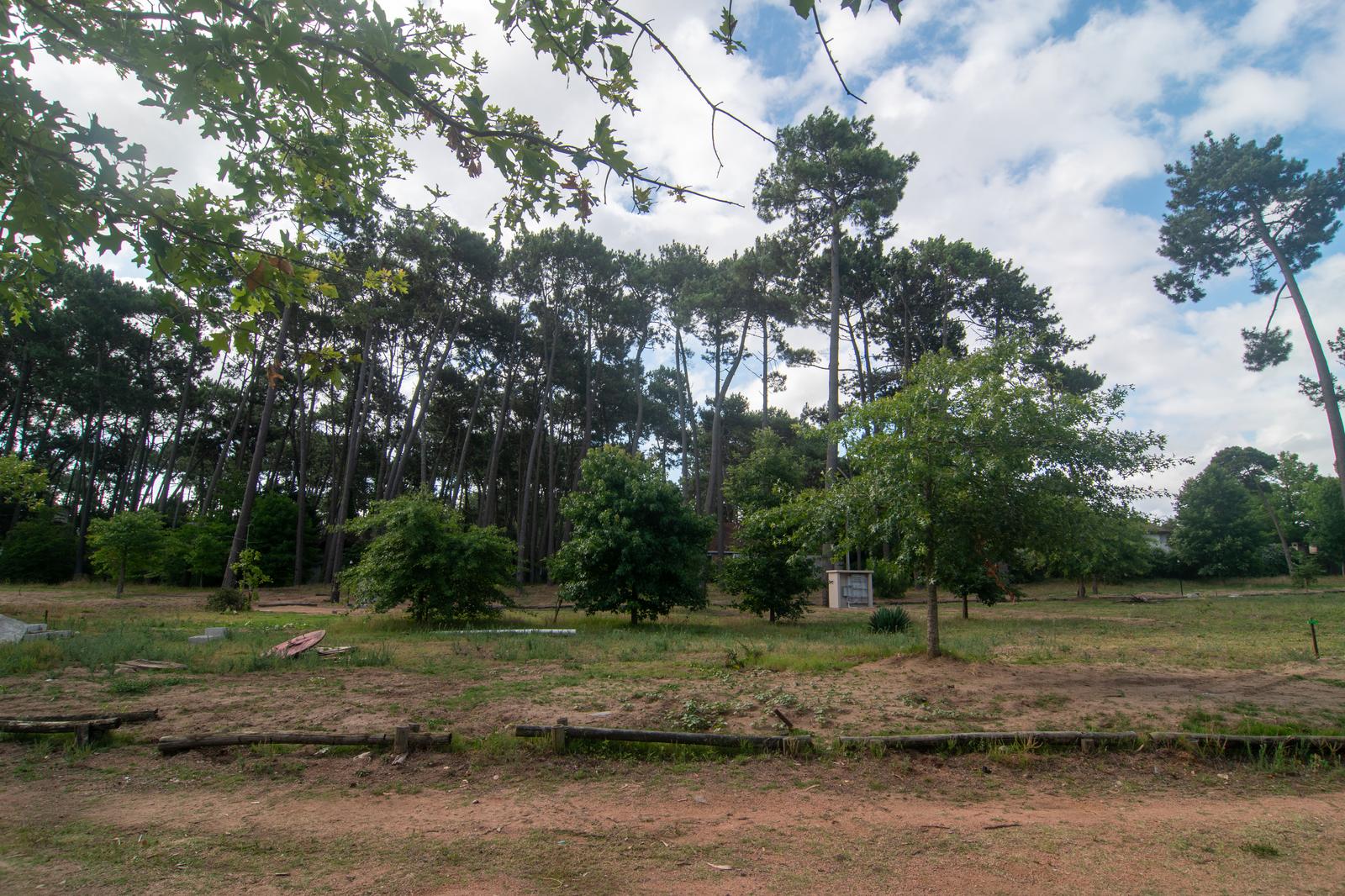 image 31