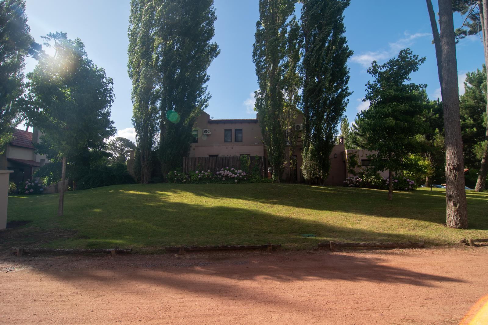 image 113