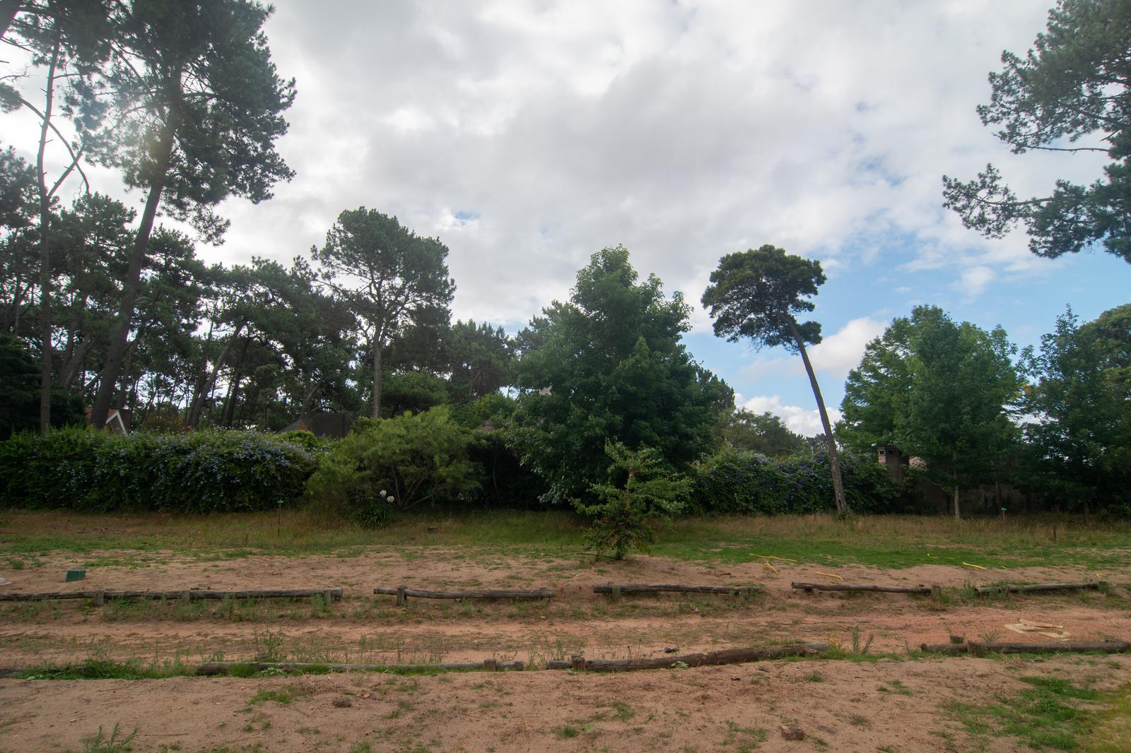 image 116