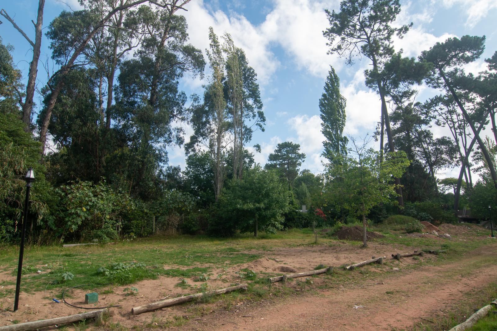 image 118