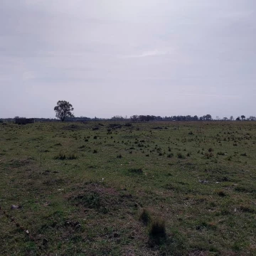 1737649444.jpg