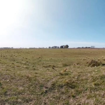 1737649445.jpg