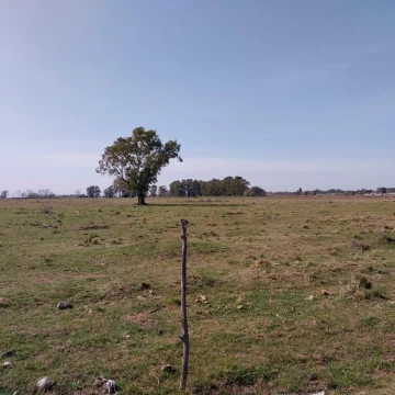 1737649445.jpg