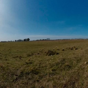 1737649446.jpg