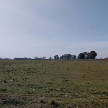 1737649446.jpg