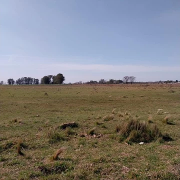 1737649447.jpg