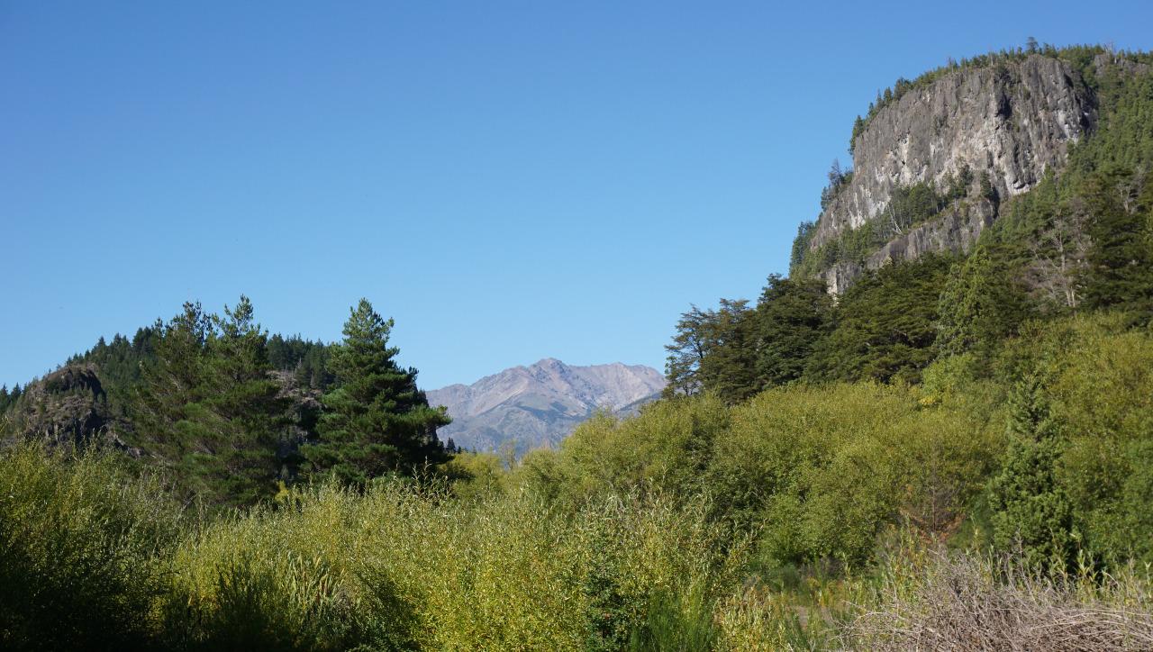image 27