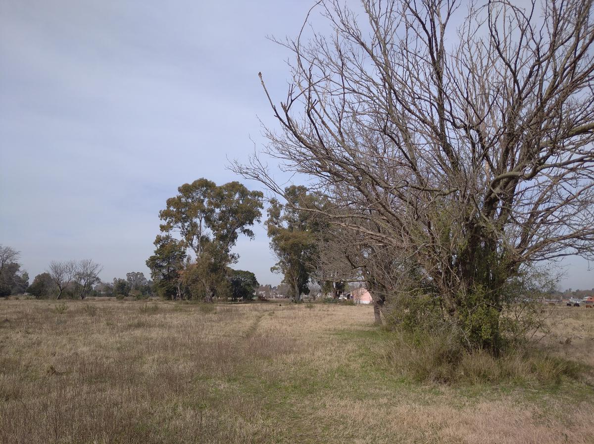 image 30