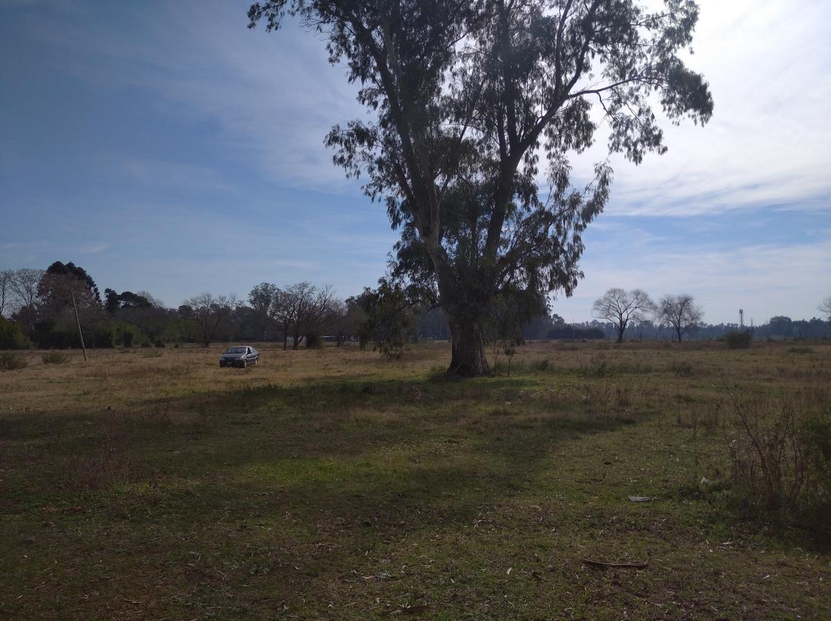 image 31