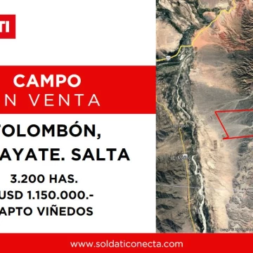 Campo Apto para Viñedo en Venta - Tolombón, Salta