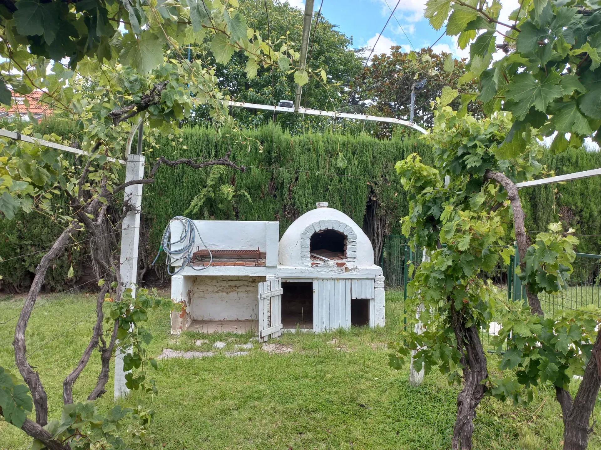 image 35