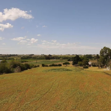 Venta de terreno de 1 hectárea. Colonia del Sacramento.