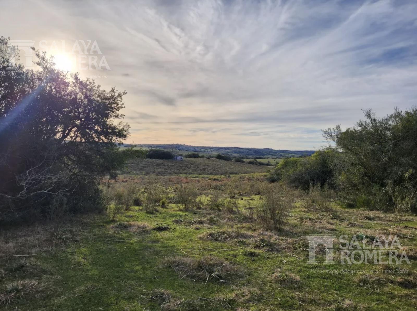 image 25