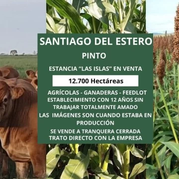 Campo en  SANTIAGO DEL ESTERO,  LOCALIDAD DE PINTO. 12.700 ha. MIXTAS a tranquera cerrada!!!!
