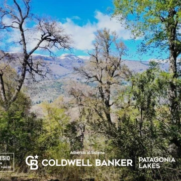 VENTA  Lote/Terreno 3 Hectáreas Vega Maipu San Martin de los Andes