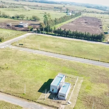 1739280250.jpg