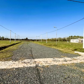 1739280250.jpg