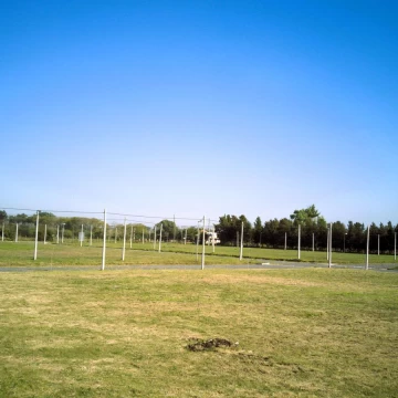 1739280253.jpg