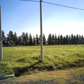 1739280255.jpg