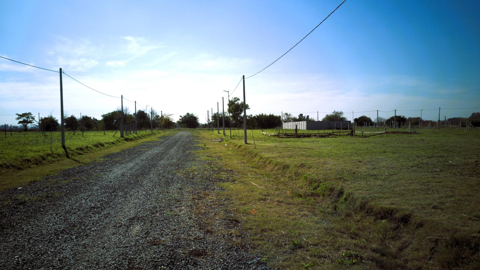 image 16