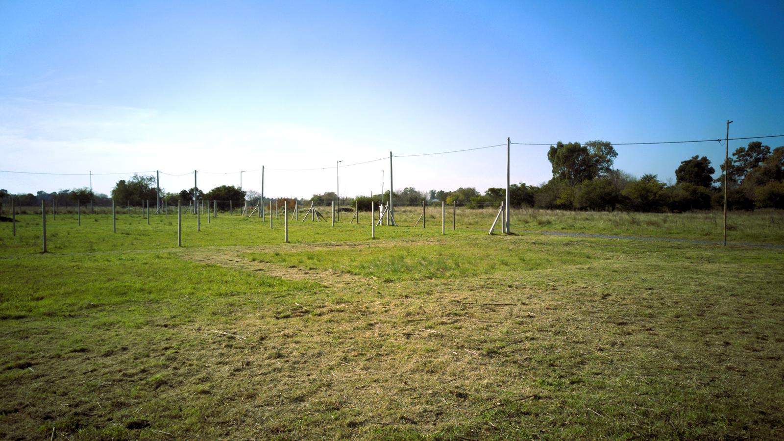 image 22