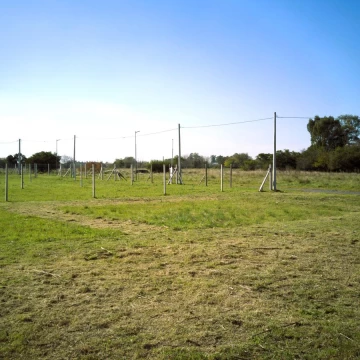 1739280260.jpg