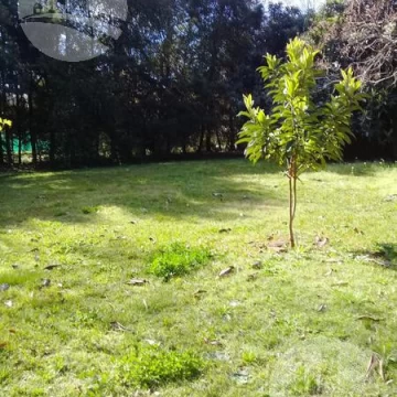 Quinta 2 amb.