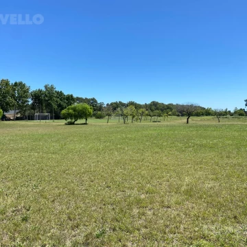 Terreno en venta en Carmelo Golf sector Polo