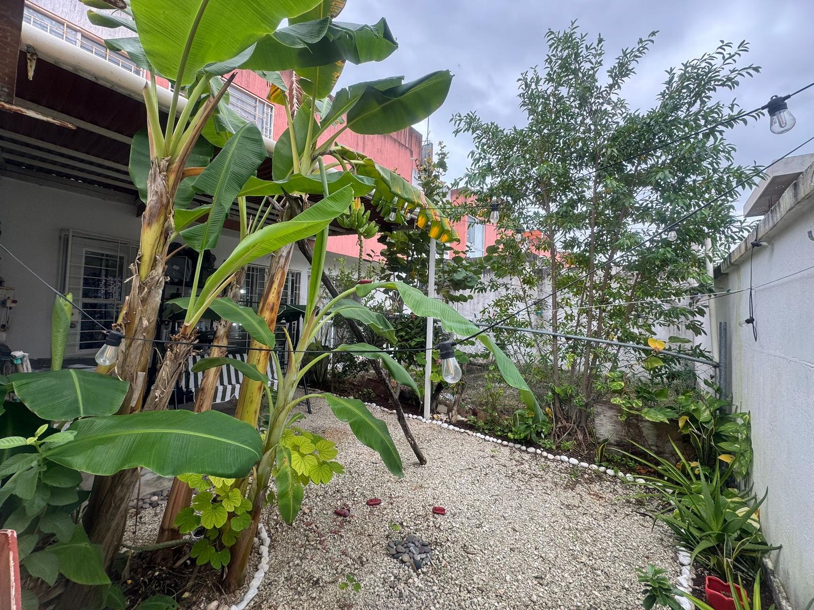 image 14