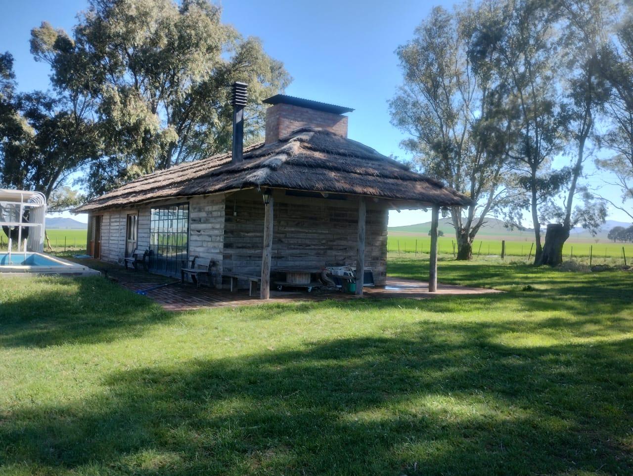 image 23