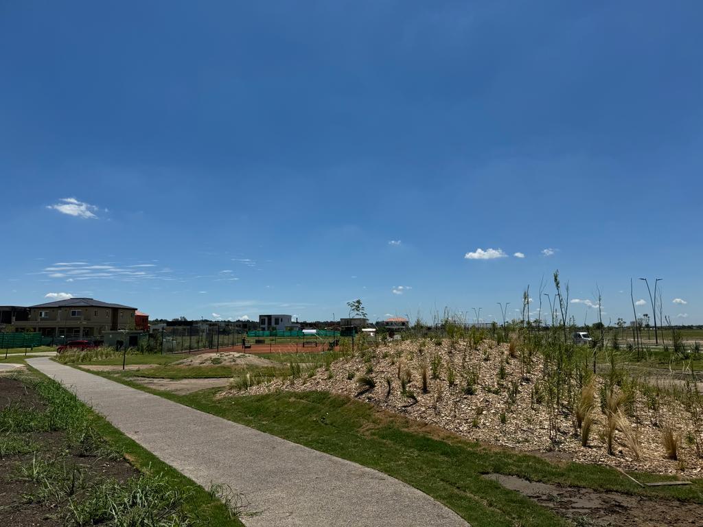 image 34