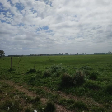 1739377444.jpg