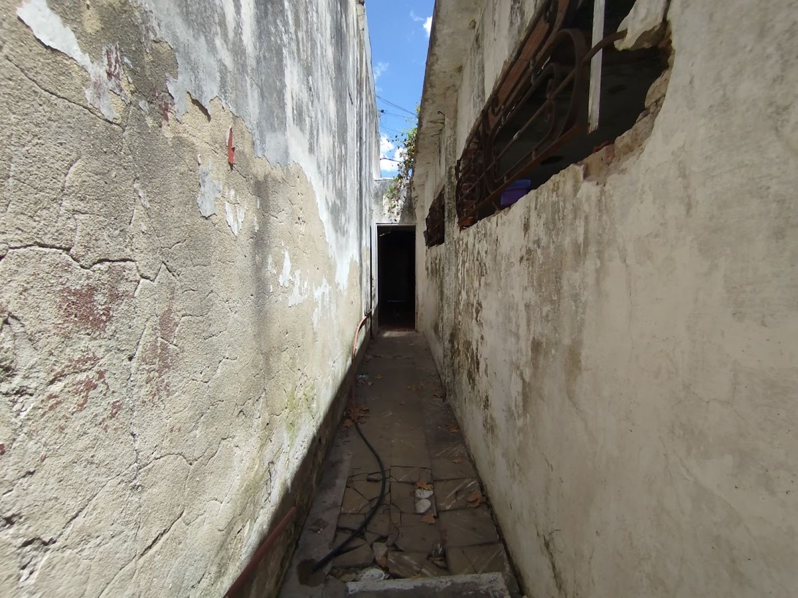 image 29