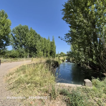 Venta Chacra en Villa Regina, 